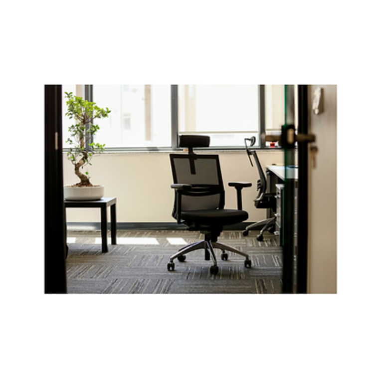 Ergonomic Office Chair